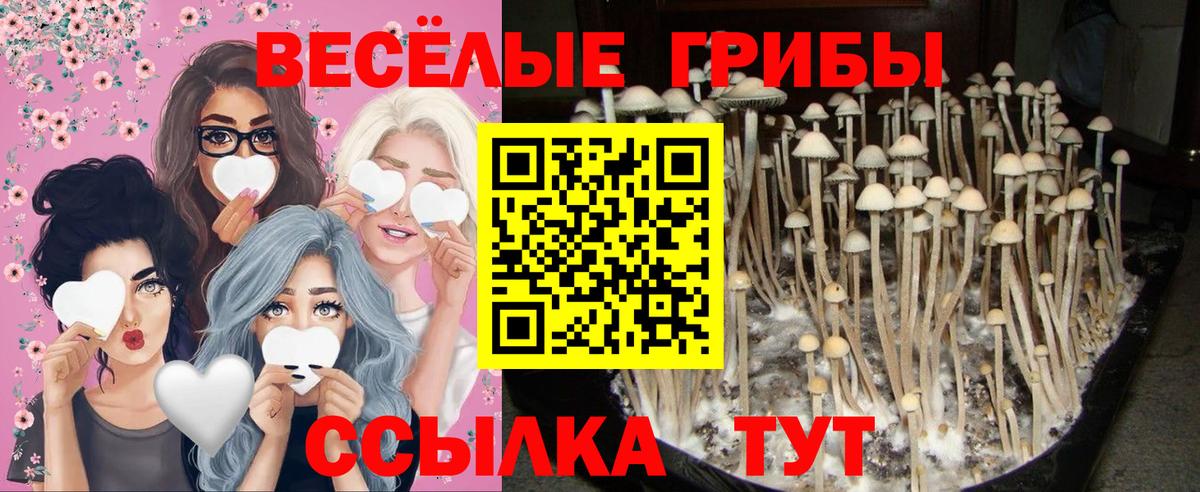 Лангепас  Галлюциногенные грибы Magic Shrooms  Вход с VPN 
