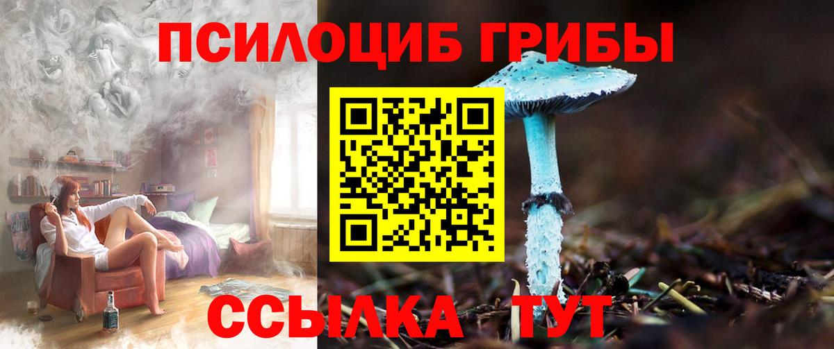 Псилоцибиновые грибы Psilocybine cubensis Лангепас